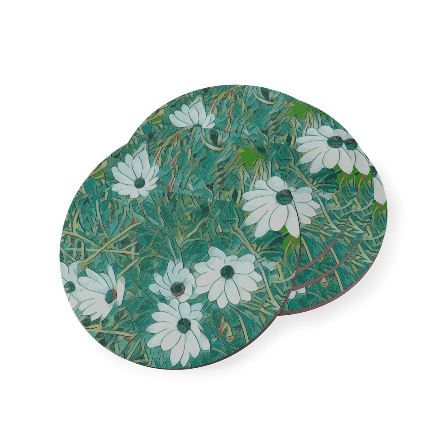 Floral Wild Flower Coasters - OSTEOSPERMUM 'Avalanche' Daisy West Australian