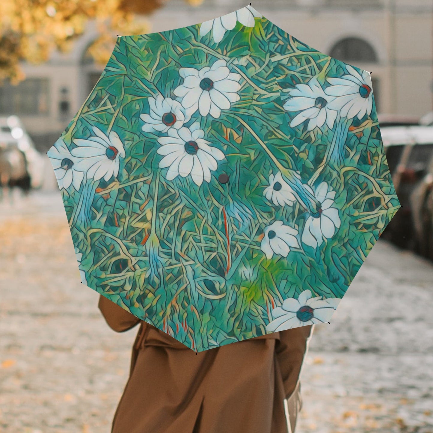 Floral Wild Flower Umbrella - OSTEOSPERMUM 'Avalanche' Daisy West Australian Wild Flower