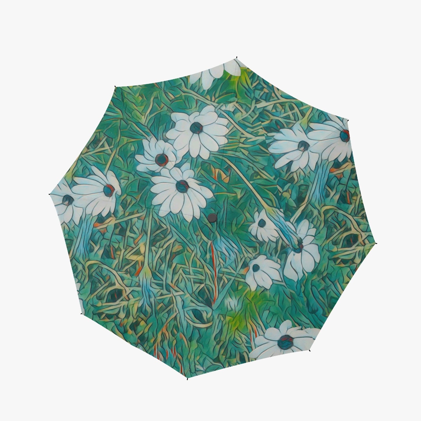 Floral Wild Flower Umbrella - OSTEOSPERMUM 'Avalanche' Daisy West Australian Wild Flower